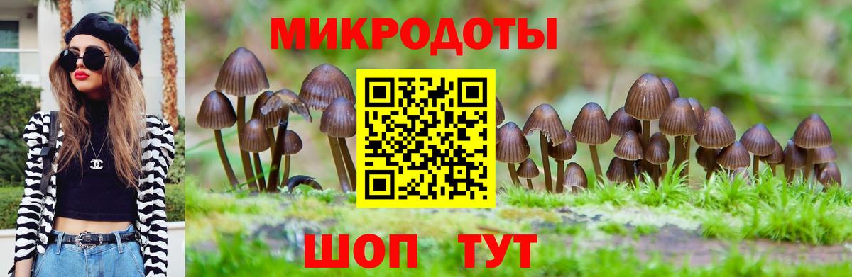 Сегежа  Псилоцибиновые грибы GOLDEN TEACHER  Псилоцибиновые грибы мухоморы  Вход с VPN 
