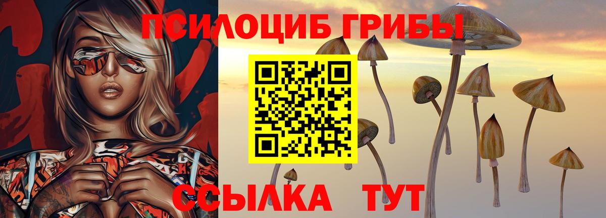 Галлюциногенные грибы MAGIC MUSHROOMS Сегежа